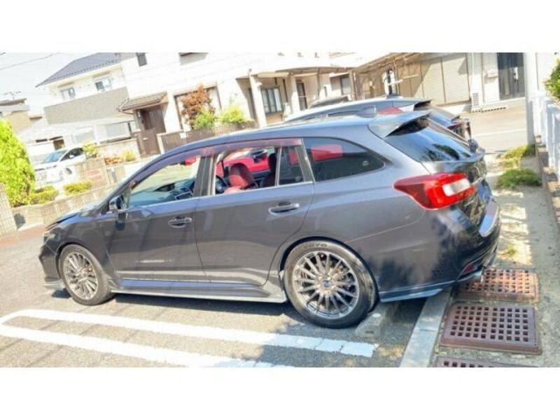 LEVORG