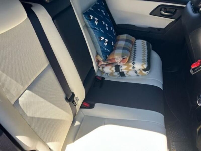 AURIS HYBRID