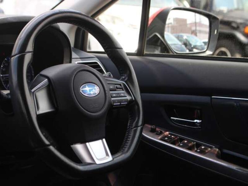 LEVORG