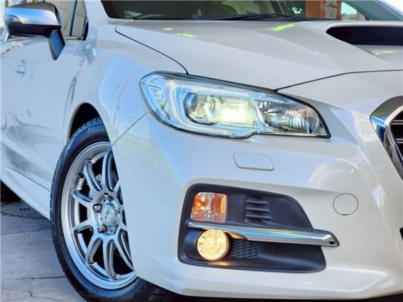 LEVORG
