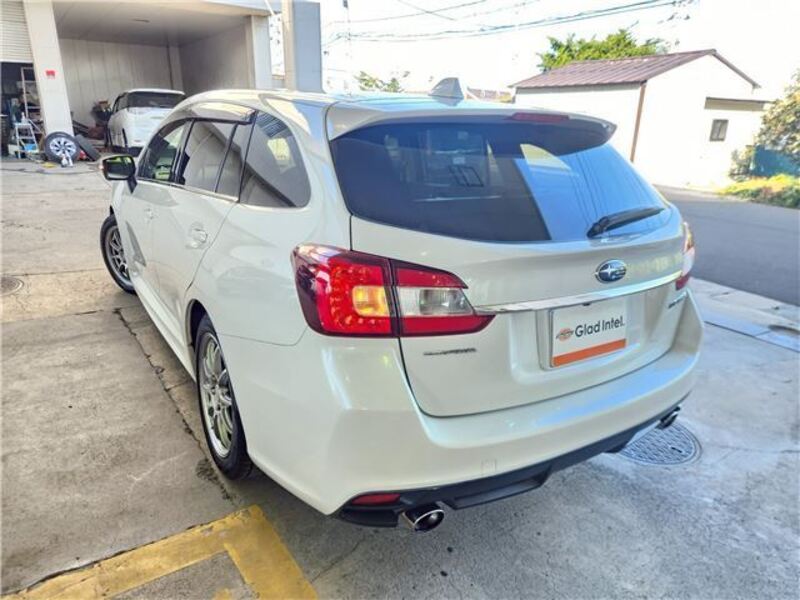 LEVORG