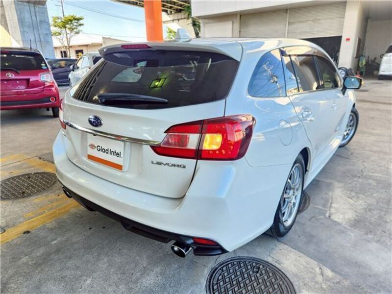 LEVORG
