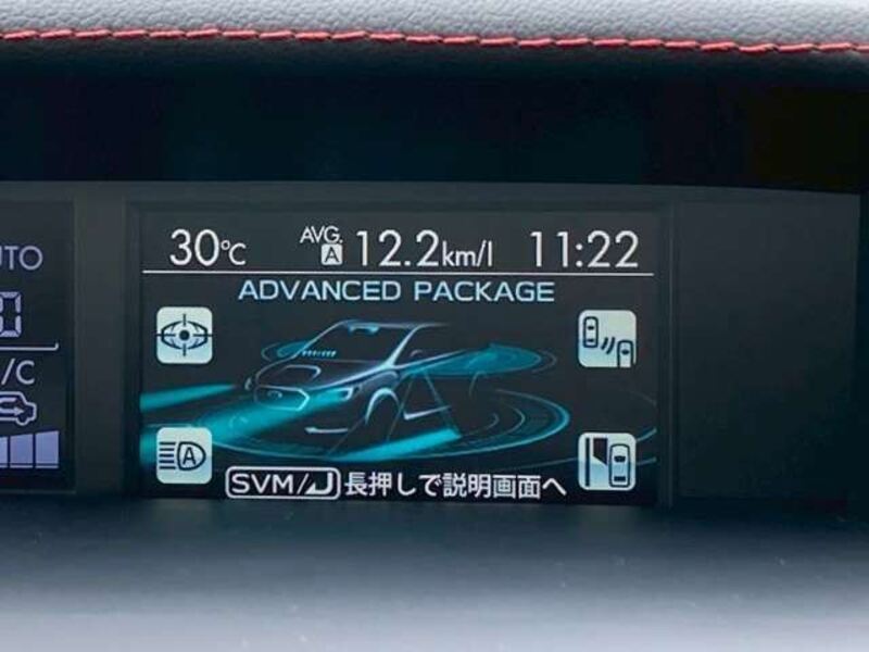 LEVORG