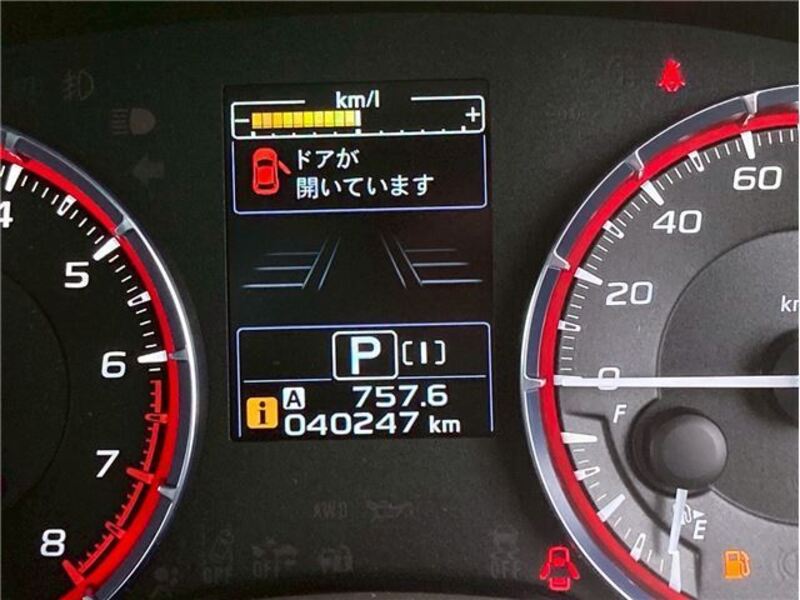 LEVORG