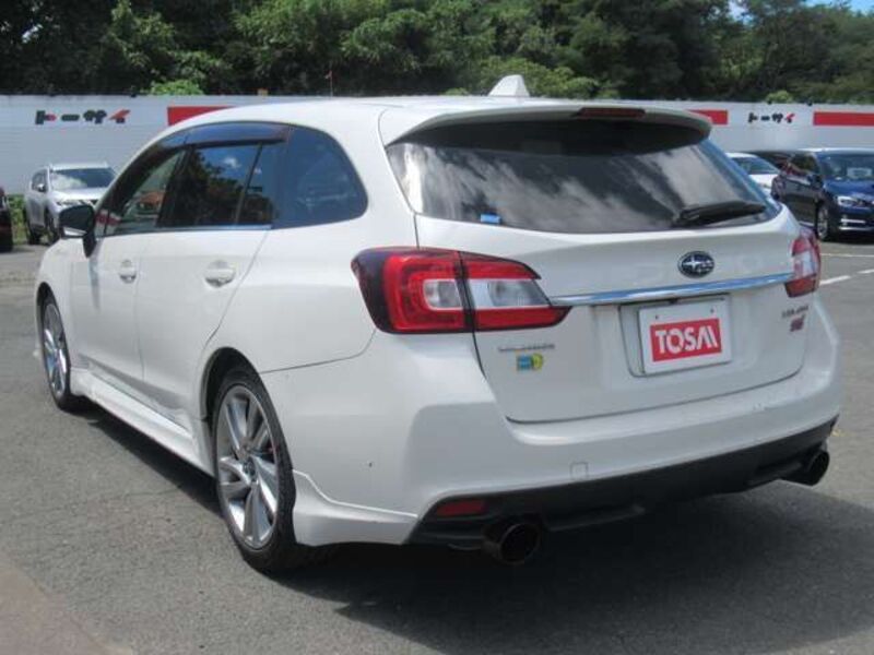 LEVORG