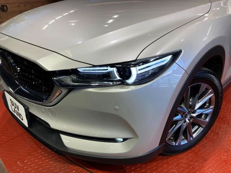 CX-8