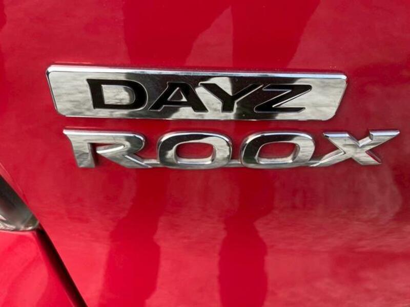 DAYZ ROOX