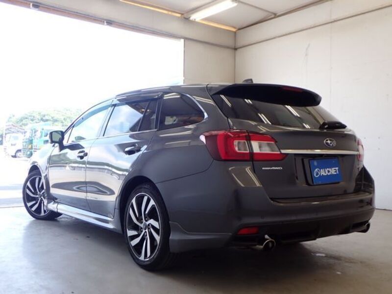 LEVORG