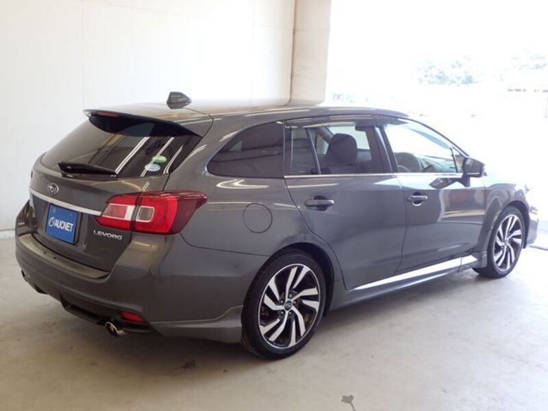 LEVORG