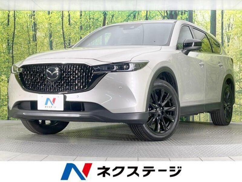 CX-8-0