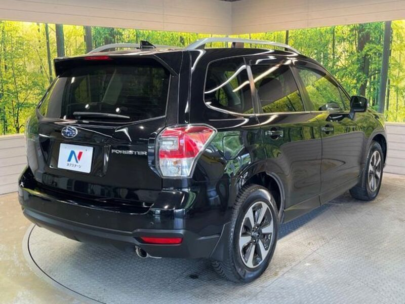 FORESTER