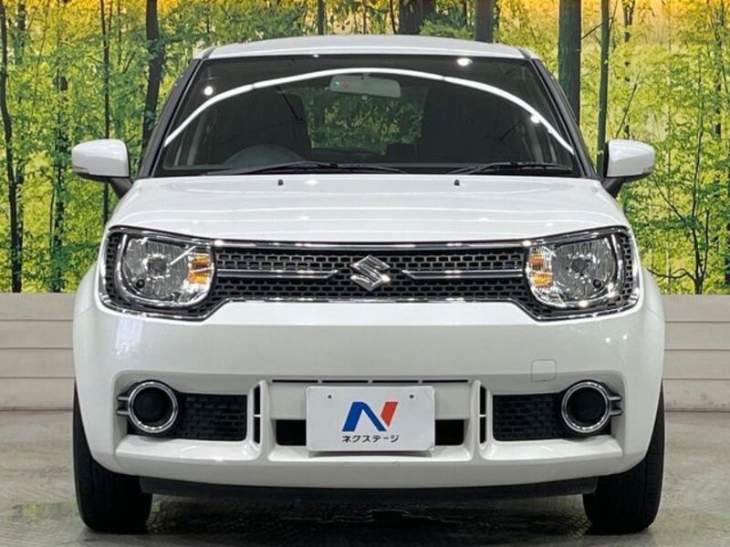 IGNIS