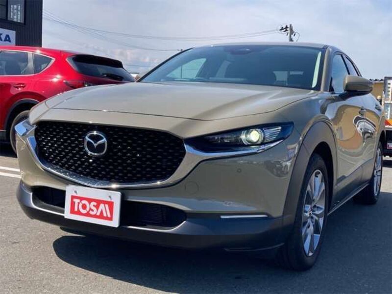 CX-30
