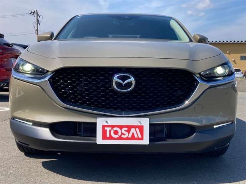 CX-30