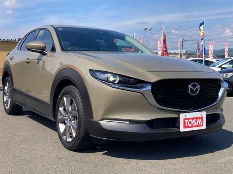 CX-30