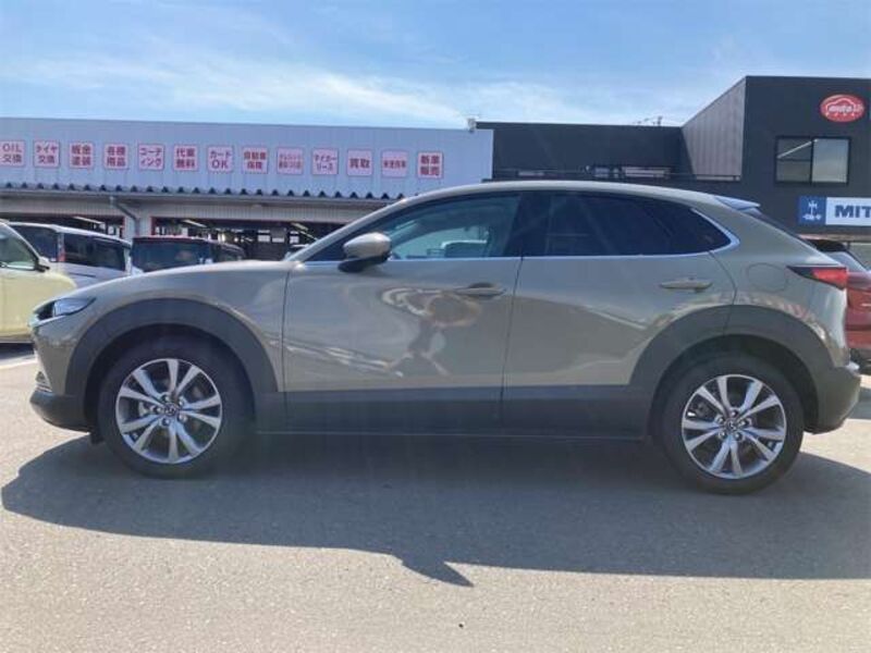 CX-30