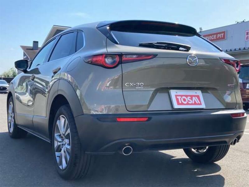 CX-30