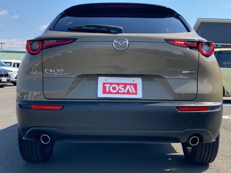 CX-30