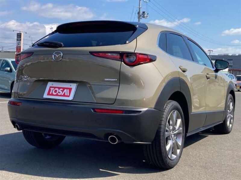 CX-30