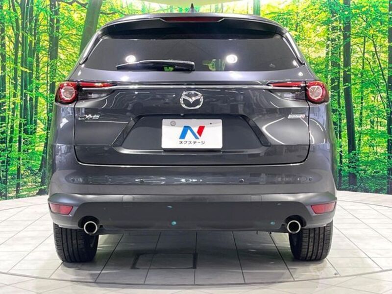 CX-8