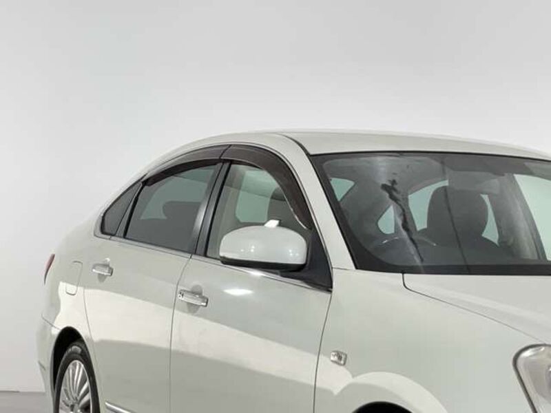BLUEBIRD SYLPHY
