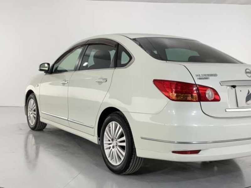 BLUEBIRD SYLPHY