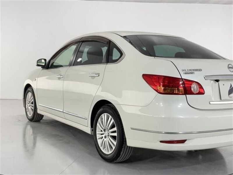 BLUEBIRD SYLPHY