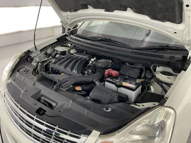 BLUEBIRD SYLPHY