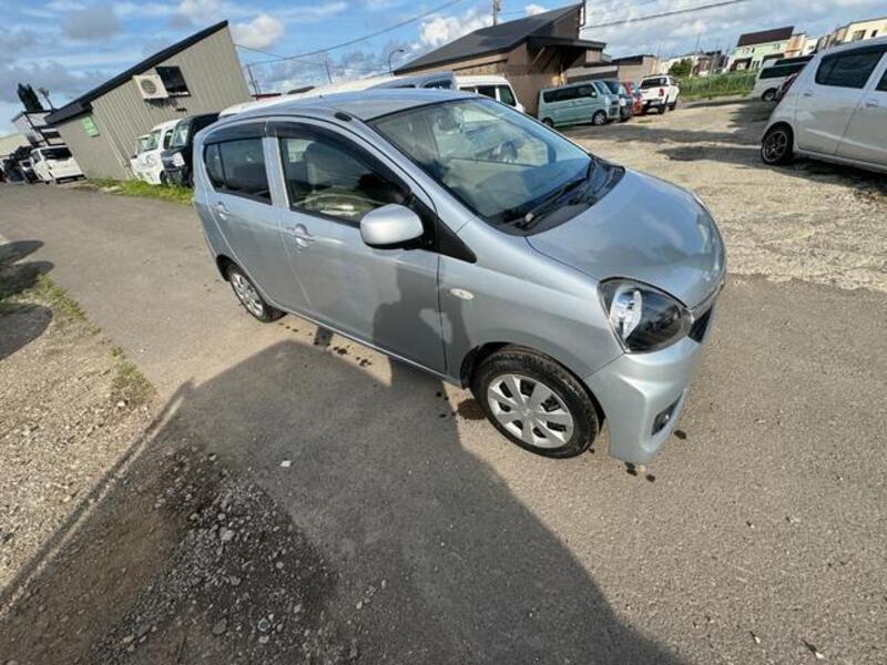 PLEO PLUS