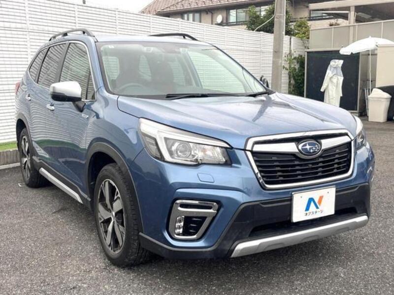 FORESTER