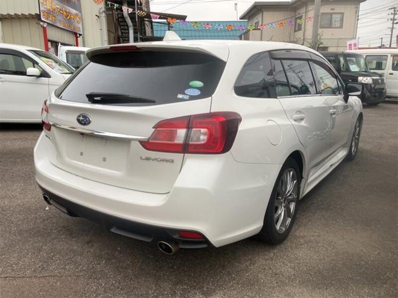 LEVORG