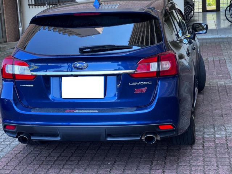 LEVORG