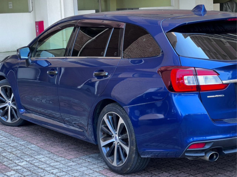LEVORG