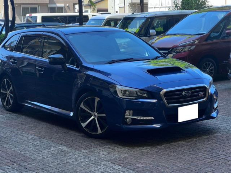 LEVORG-0