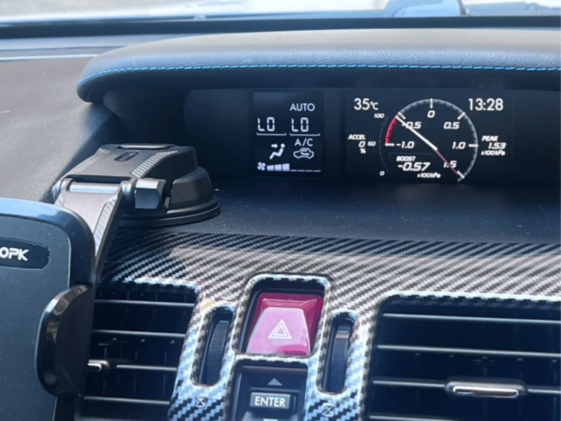 LEVORG