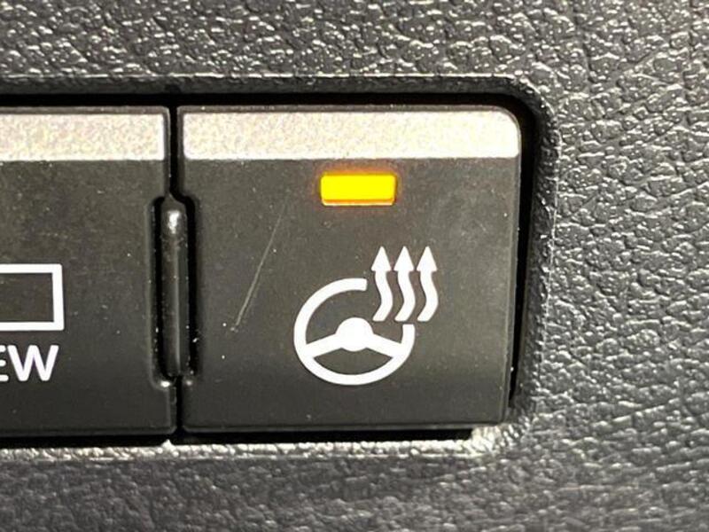 NX