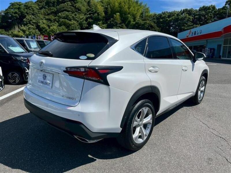 NX