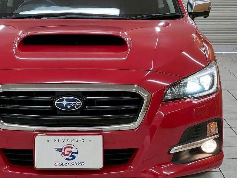 LEVORG