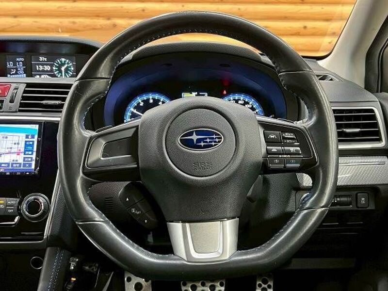 LEVORG