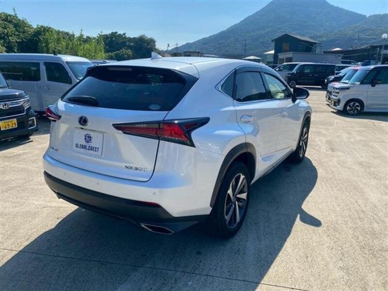 NX