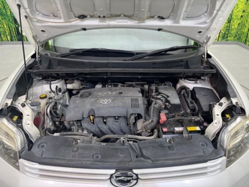 COROLLA RUMION