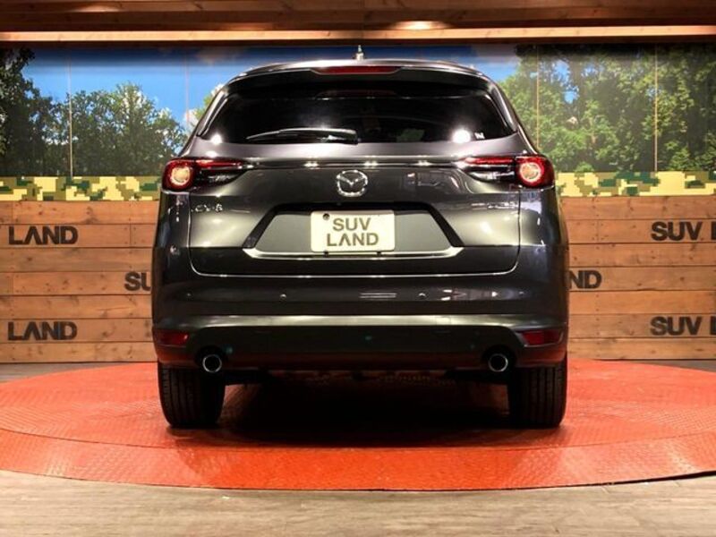 CX-8