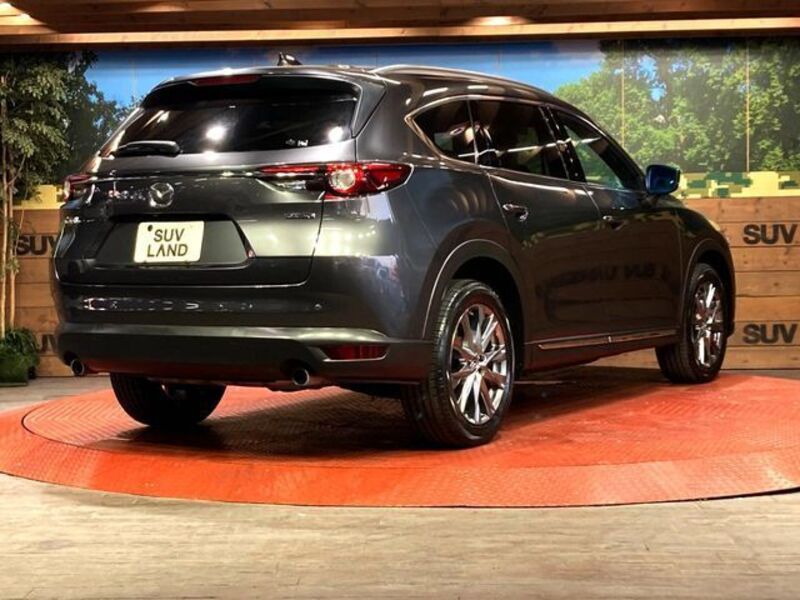 CX-8