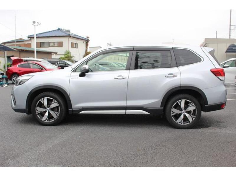 FORESTER