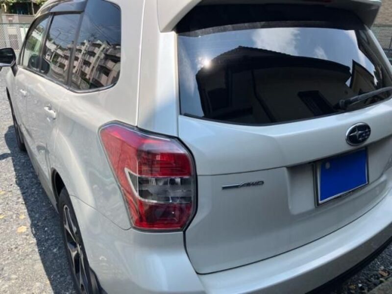 FORESTER