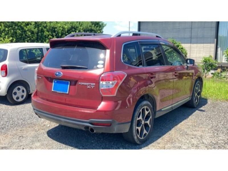 FORESTER