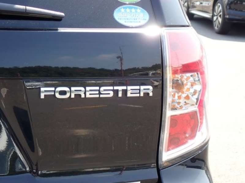 FORESTER