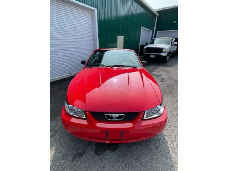 MUSTANG