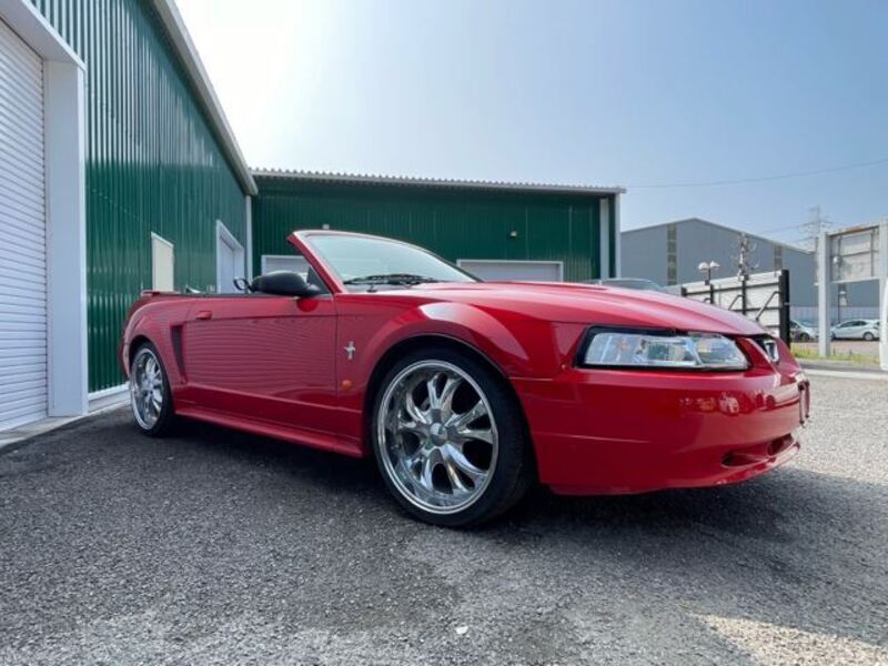 MUSTANG