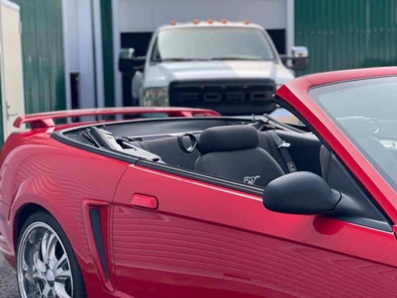 MUSTANG